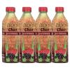 Iberia Aloe Vera Drink with Aloe Pulp and Chia Seeds 16.9 Ounce (Pack of 6) 2 X Watermelon & Acai, 2 x Mango, 2 x Pineapple(Acai and Watermelon)